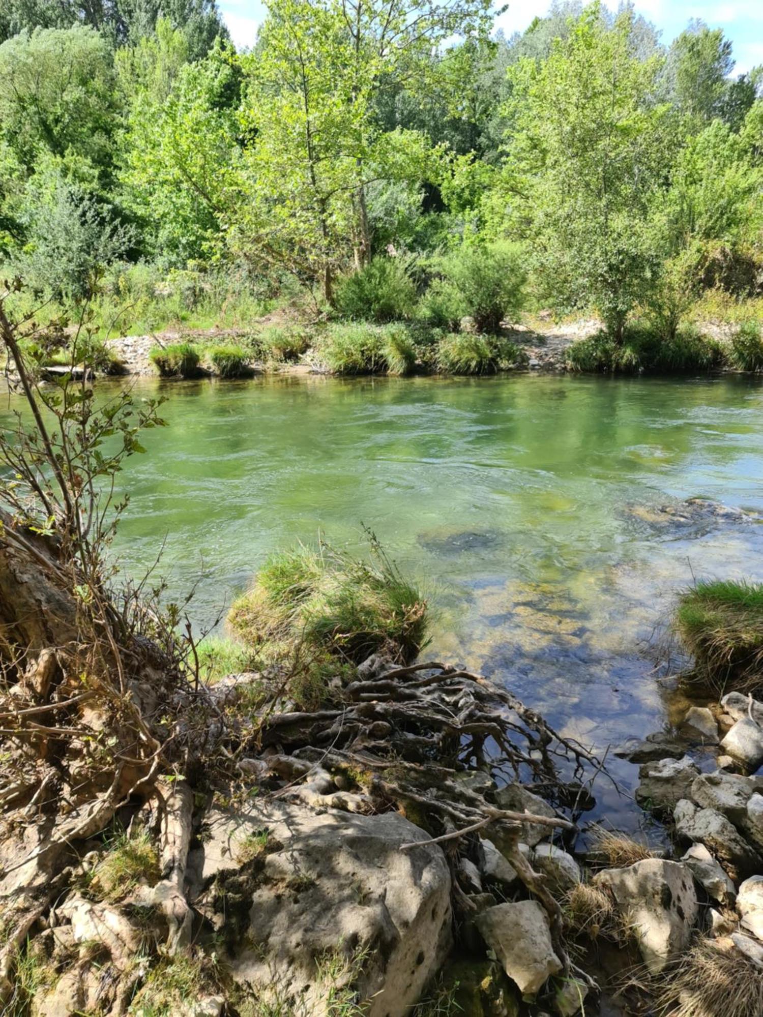 Domaine Du Moulin De Cors Hotel La Roque-sur-Cèze Eksteriør billede