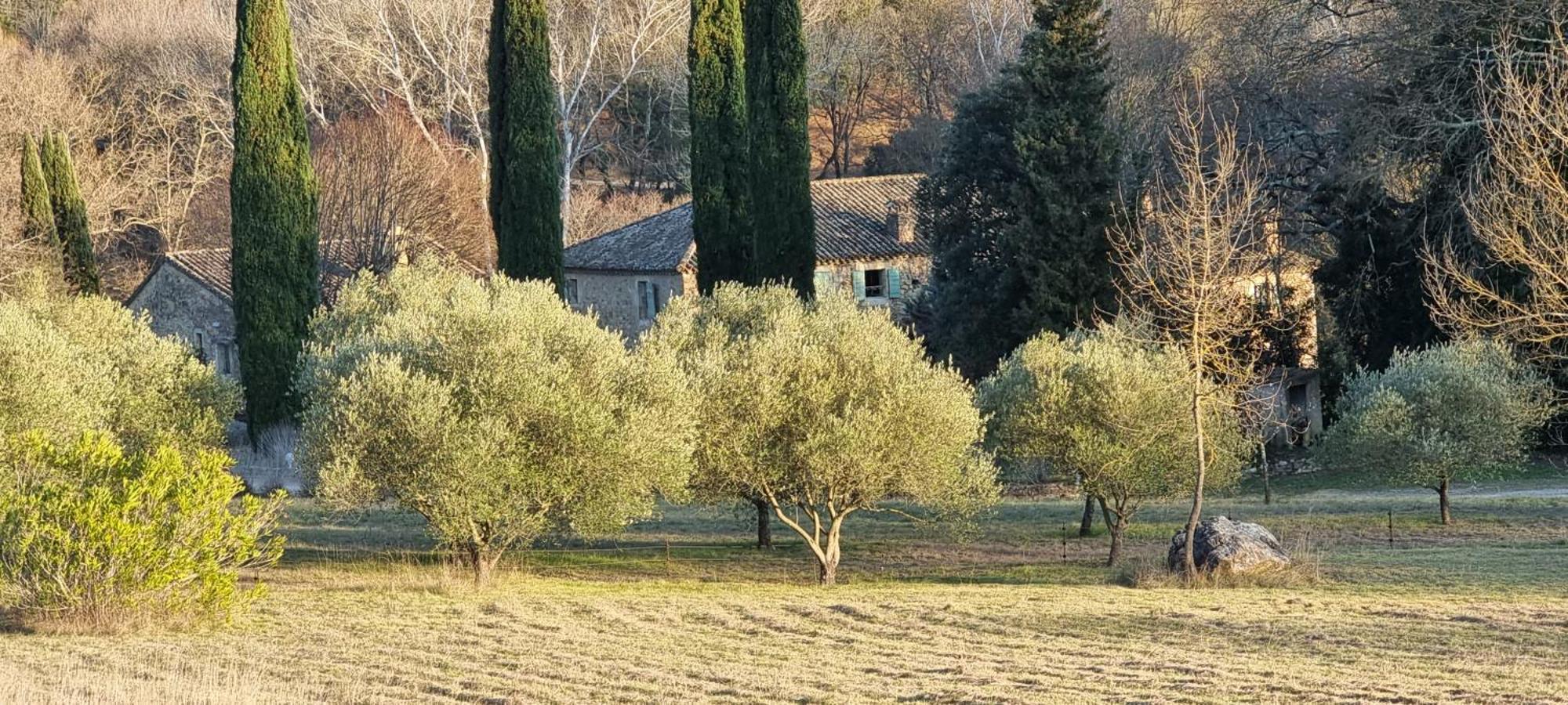 Domaine Du Moulin De Cors Hotel La Roque-sur-Cèze Eksteriør billede